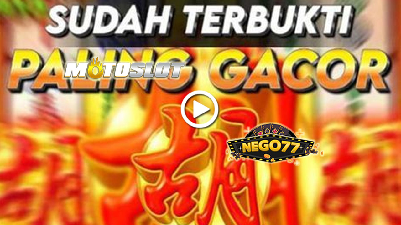 NEGO77